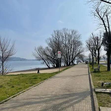 Cavaedium Арона