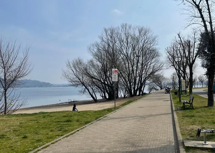 Cavaedium Арона